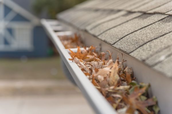 Leaf Barrier Installation in Fishers